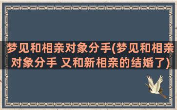 梦见和相亲对象分手(梦见和相亲对象分手 又和新相亲的结婚了)